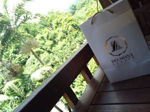  at Belmont Estate in Belmont