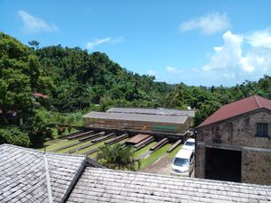 View from my table at Belmont Estate in Belmont