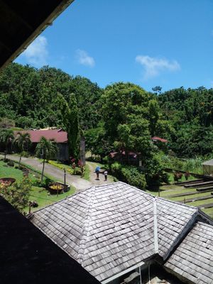 View at Belmont Estate in Belmont