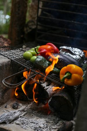 Grilled veggies at Kapok Bacalar Plant Based Hotel in Pedro Antonio Santos