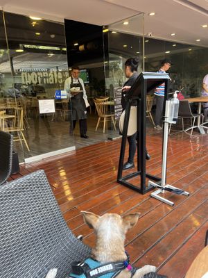 Nice  at Giornale Cafe Palmas in Mexico City