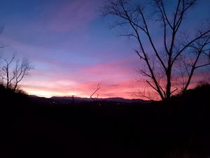 Panorami mozzafiato natura e tanti sentieri che passano qui davanti at La Bottega - Baiso in Baiso