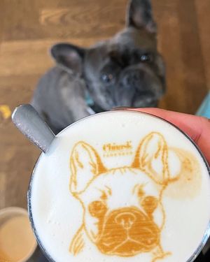  at Chinaski Tagesbar in Frankfurt