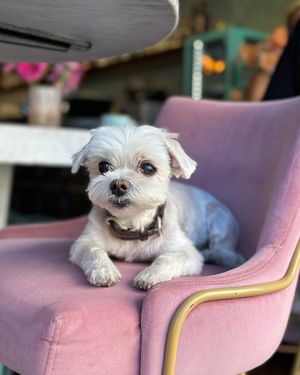  at Chinaski Tagesbar in Frankfurt