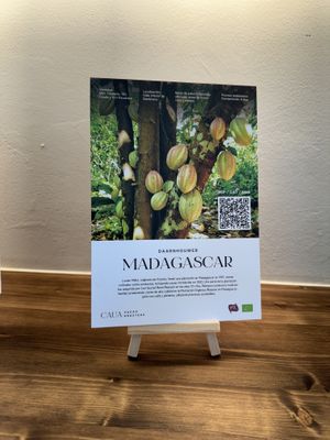 Description of cacao  at CAUA Cacao Roasters in Barcelona