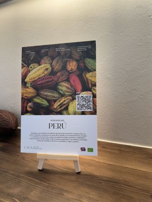 Description of cacao  at CAUA Cacao Roasters in Barcelona