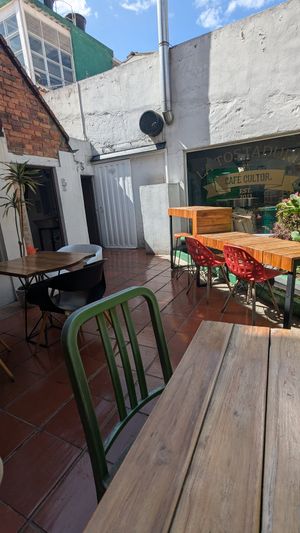 Cozy backyard area at Café Cultor in Bogota