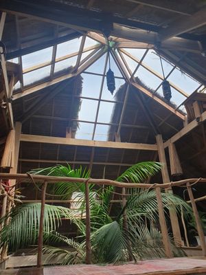  at The Soul Shack in Siargao