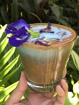   at The Soul Shack in Siargao