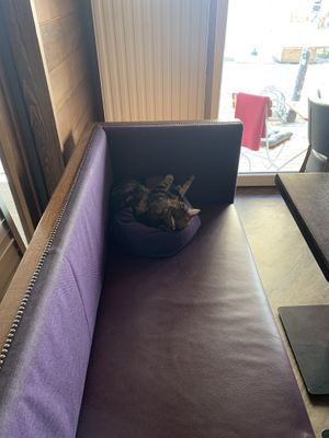   at Restaurant Käthe in Rostock