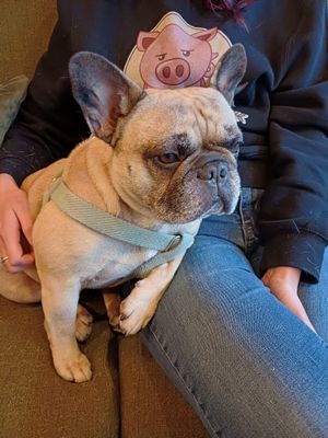 Employee of the year! at Fredgie's  in Dwingeloo