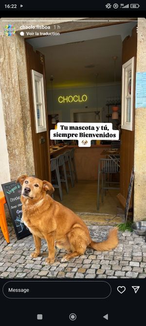  at Choclo Ceviche Restaurant in Lisbon
