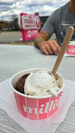 Brownie Batter and Macaroon Coconut Chip (vegan and gluten free! ) at Millie's in Wexford