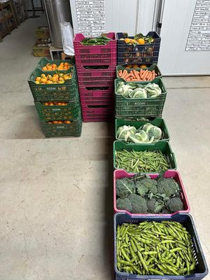 Fresh local produce at Berkant Kargi in Tatlisu