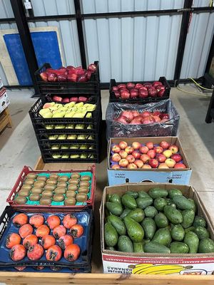 Fresh local produce at Berkant Kargi in Tatlisu