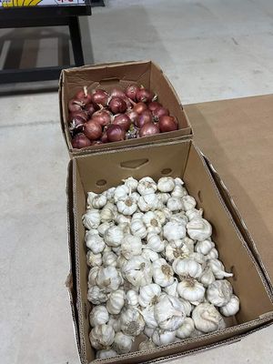 Fresh local produce at Berkant Kargi in Tatlisu