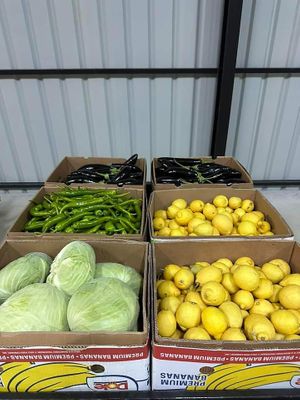 Fresh local produce at Berkant Kargi in Tatlisu