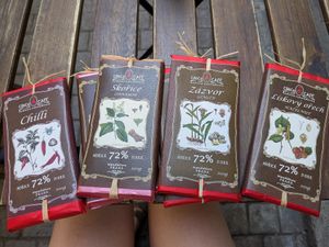 Vegan chocolate bars! at Choco Cafe in Prague