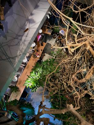 The kitchen and the bar counter seen from the upstairs.  at Grün in Kashiwa