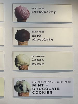 Some of the vegan offerings when we visited - everything is clearly labeled   at Gelato Boy in Denver