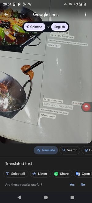 Menu translation at Summer Radish Vegetarian Restaurant in Yinchuan