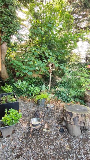  at Mugg Uggly in Dublin