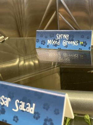   at Walt Disney World - Hollywood & Vine in Lake Buena Vista