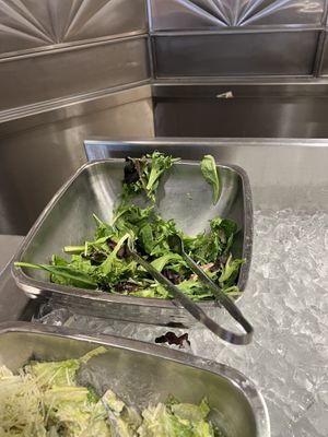   at Walt Disney World - Hollywood & Vine in Lake Buena Vista