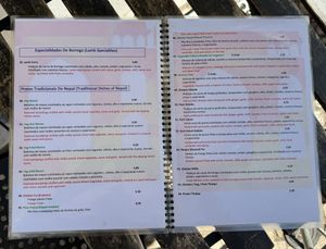Menu p5 in green the vegan options  at Sabor do Nepal in Lisbon