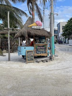 🫶🏼 #Veganuary at Tuk Tuk in Holbox