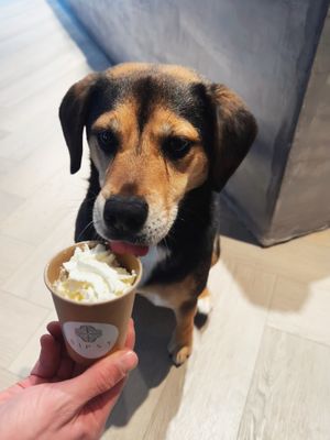  at Sipsy in The Hague