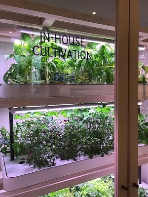  at CIRTY CAFE in Tokyo