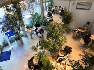  at CIRTY CAFE in Tokyo