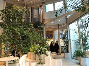  at CIRTY CAFE in Tokyo