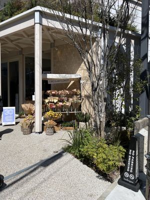   at CIRTY CAFE in Tokyo