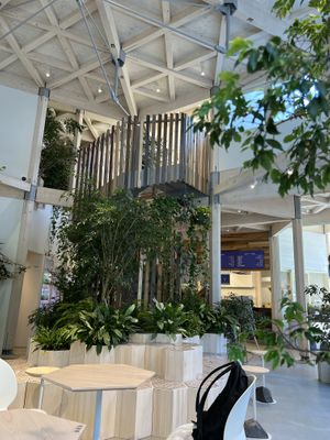   at CIRTY CAFE in Tokyo