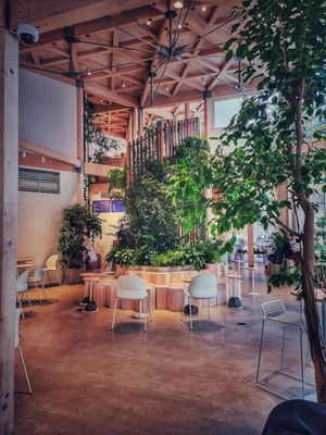  at CIRTY CAFE in Tokyo