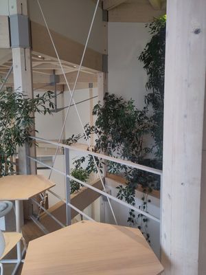  at CIRTY CAFE in Tokyo