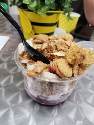 Crushed mixed fruit on the bottom, granola, peanut butter, fruits on top, almonds, nutter butter rounds, graham cracker crumbs, and waffle cone chunks on top. Delicious!  at Project Animal Freedom - Decatur, IL  in Decatur