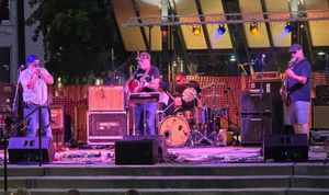 Meerkat Blues Band played well and were perfect for the peaceful setting at Project Animal Freedom - Decatur, IL  in Decatur