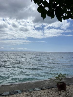 The view from sitting outside😍  at Next Level Cafe in Penida Island