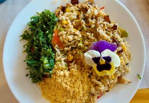 Carreteiro de Shimeji at Cobar in Bauru