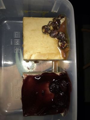 Delicious raw cake enjoyed at the Mont Royal during sunset at Sophie Sucree in Montreal