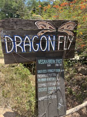   at Dragonfly Guesthouse in Sihanoukville