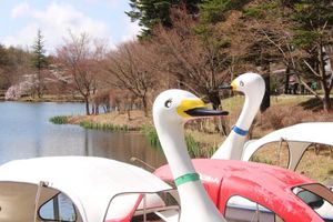  at AIN SOPH.Ripple Tateshina(Nagano) in Chino
