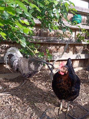  at V Pravljici - Fairytale Sanctuary  in Ljubljana