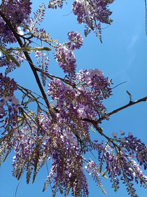  at V Pravljici - Fairytale Sanctuary  in Ljubljana
