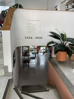 Inside Casa Hoja  at Familia Comepasto in Pereira
