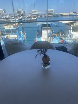 Beetroot  at FRESHA in Limassol