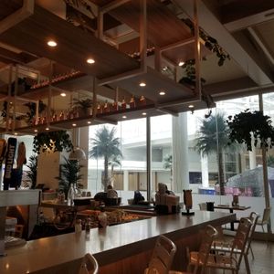 Summer House restaurant interior at MCO - Summer House Santa Monica - TC in Orlando